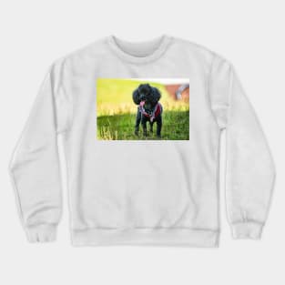 Suburban Princess Crewneck Sweatshirt